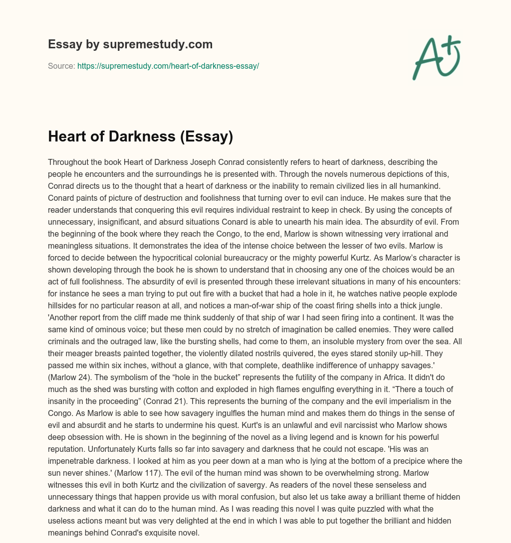 Heart of Darkness (Essay) essay