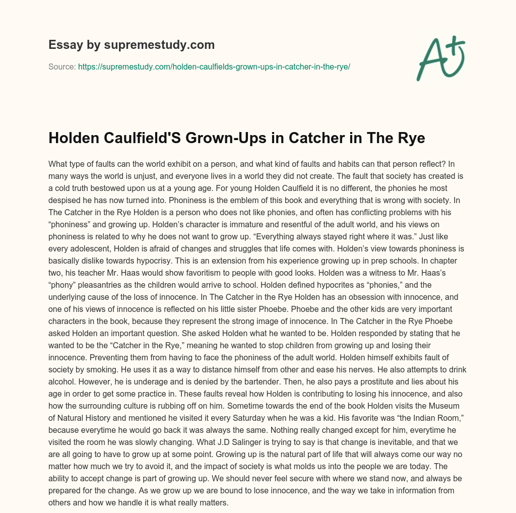 Holden Caulfield’S Grown-Ups in Catcher in The Rye essay