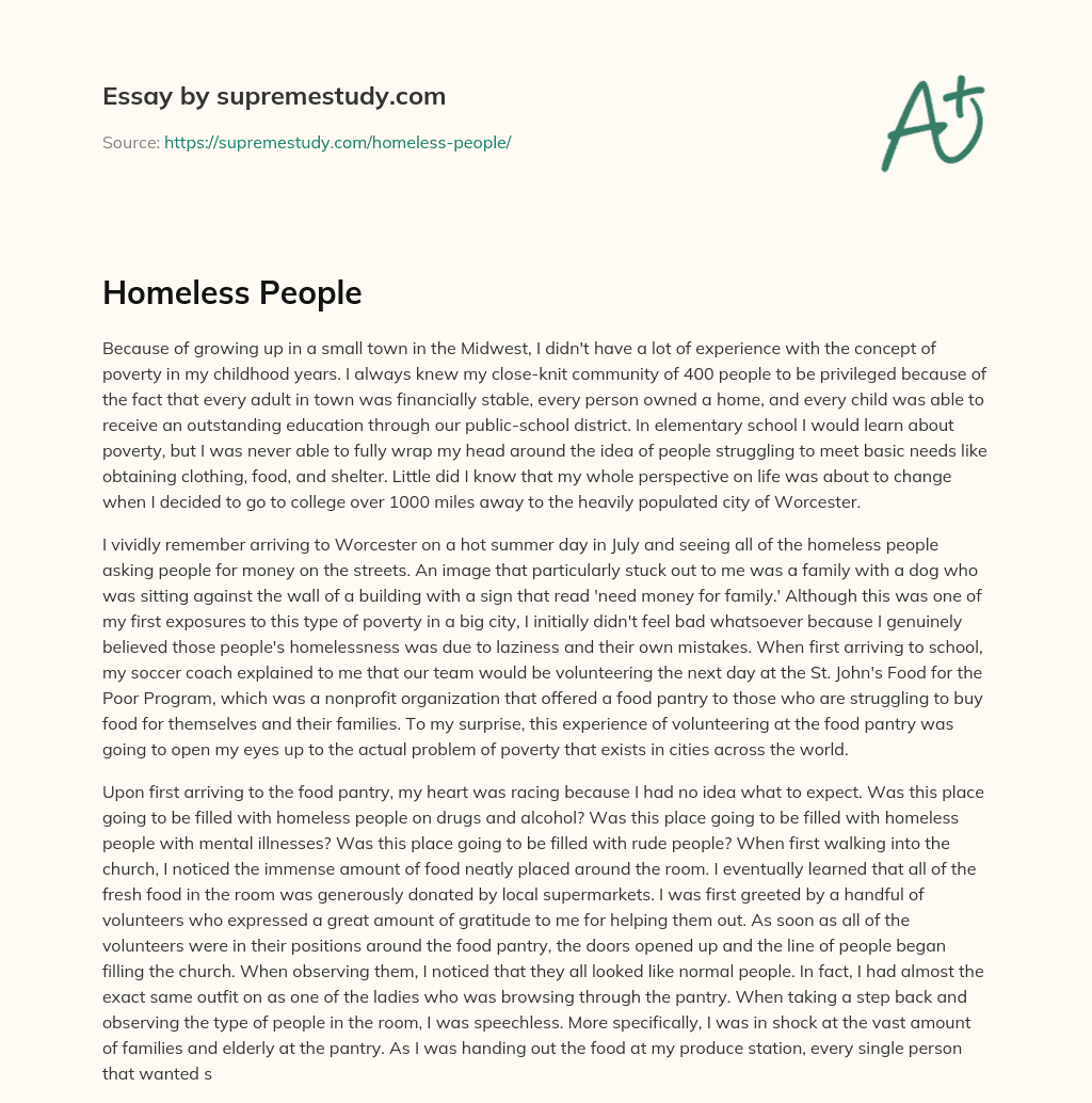Homeless People essay