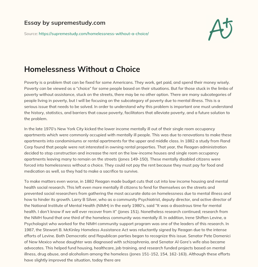 Homelessness Without a Choice essay