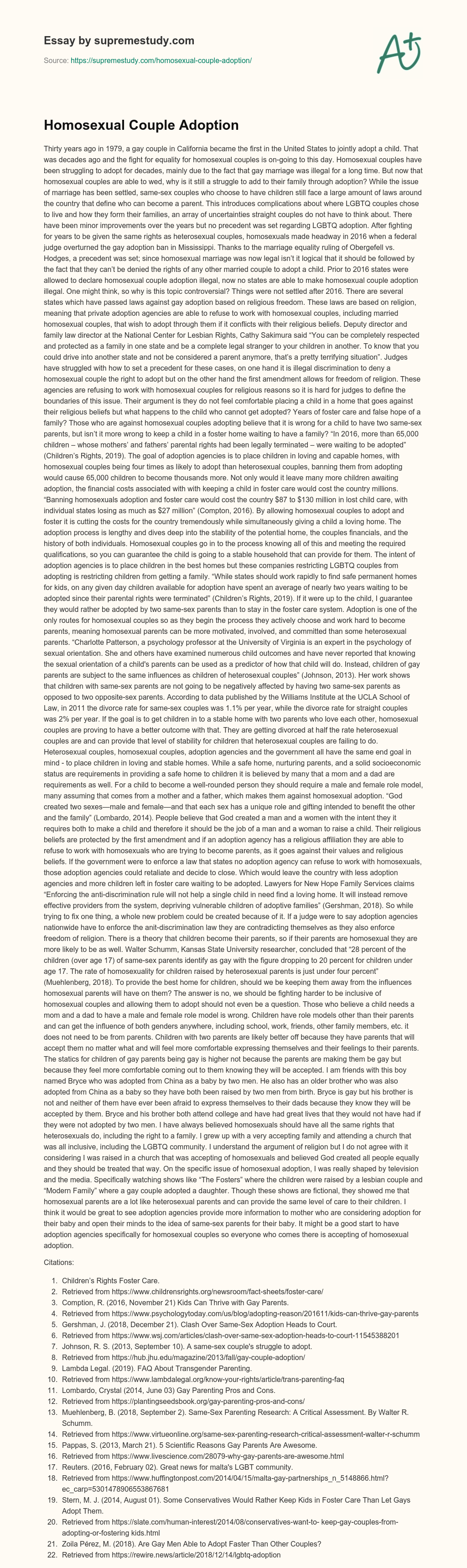 Homosexual Couple Adoption essay