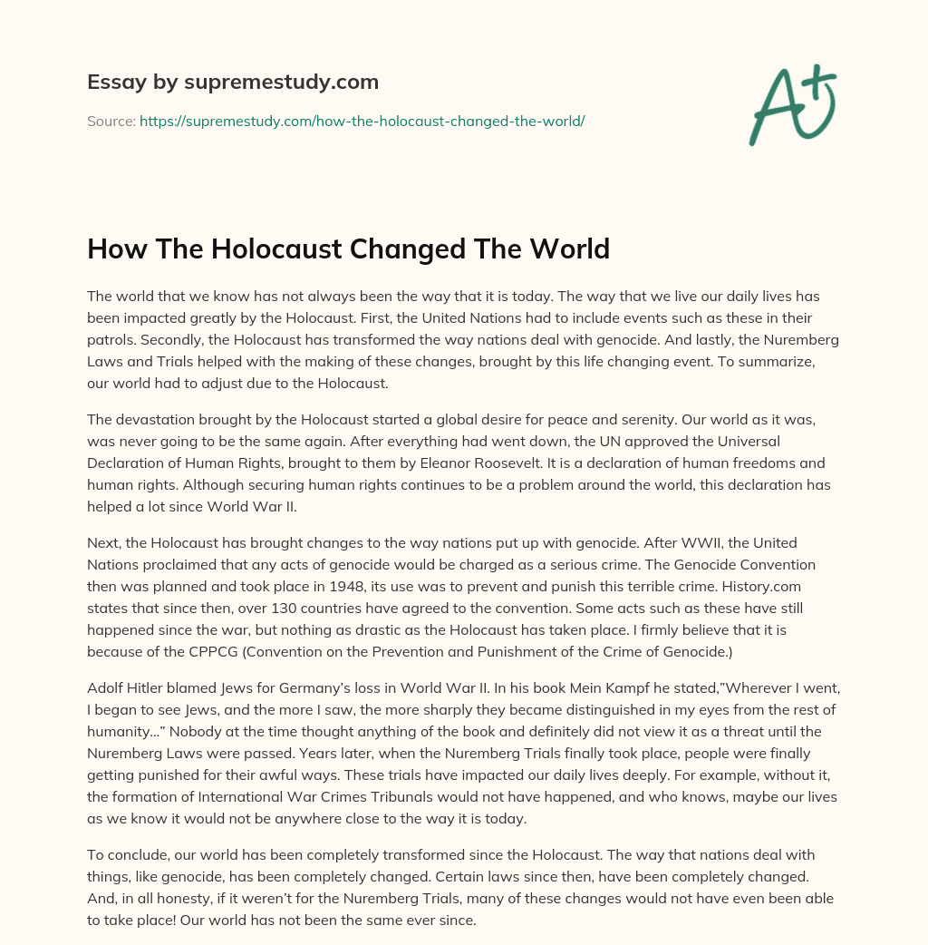 How The Holocaust Changed The World essay