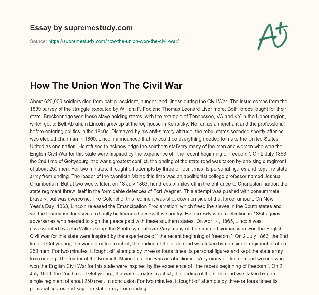 How The Union Won The Civil War  essay