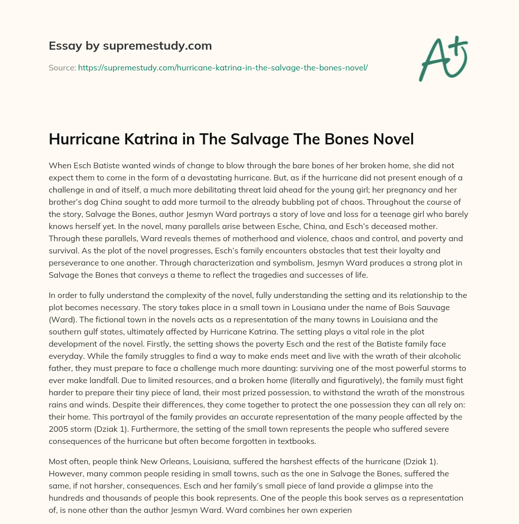 Hurricane Katrina in The Salvage The Bones Novel essay