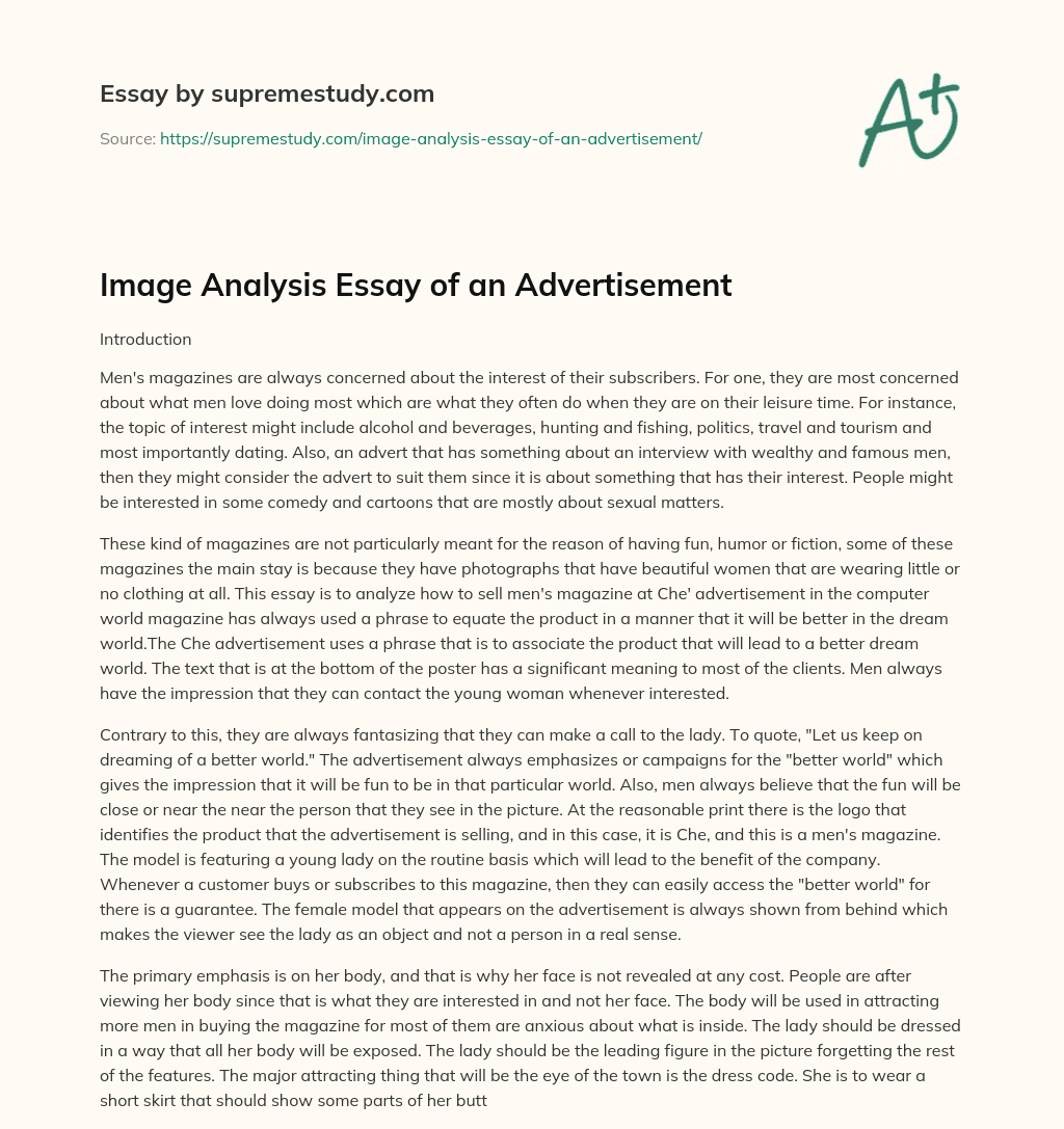 Image Analysis Essay of an Advertisement essay