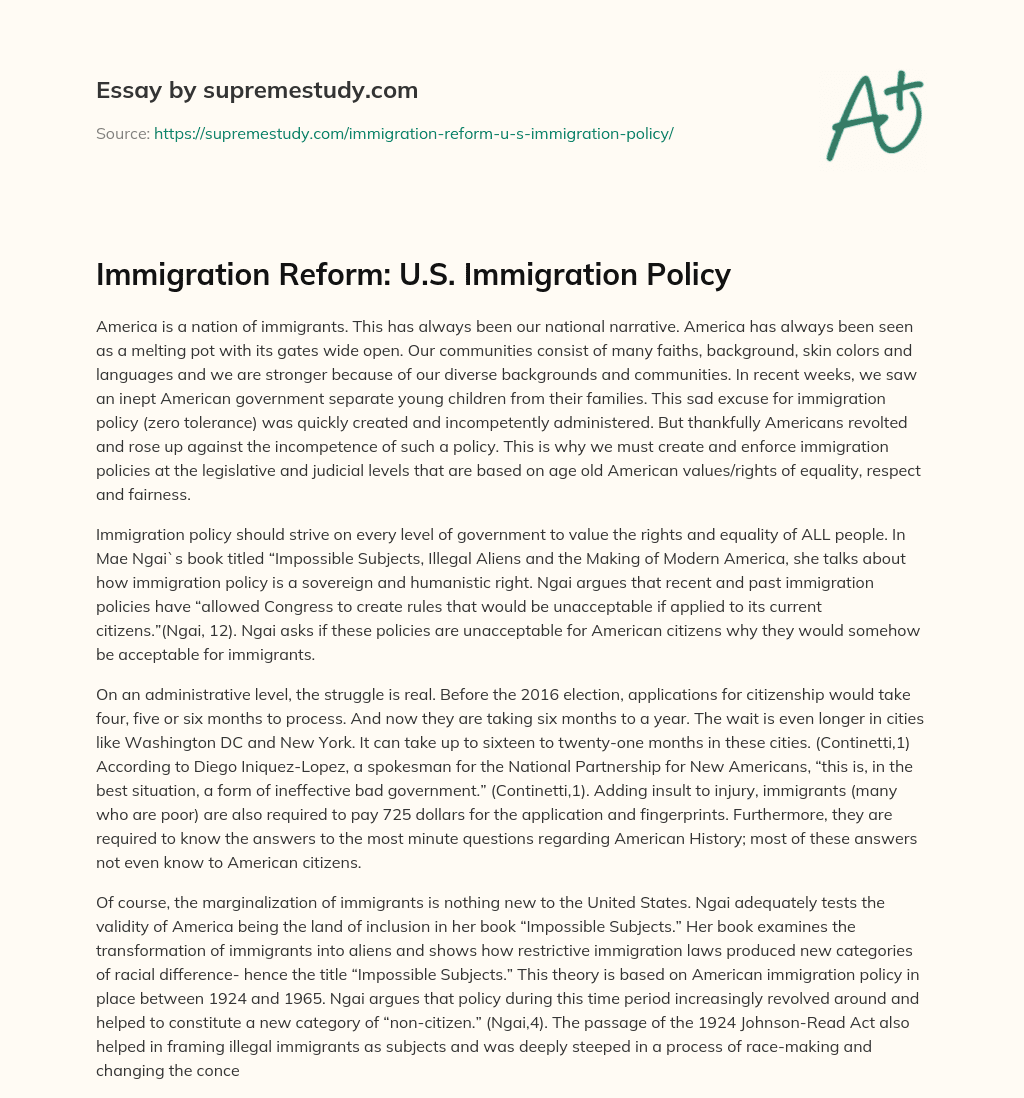 Immigration Reform: U.S. Immigration Policy essay