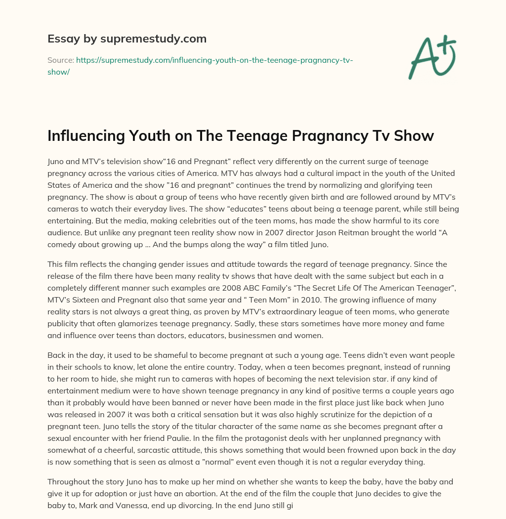 Influencing Youth on The Teenage Pragnancy Tv Show essay