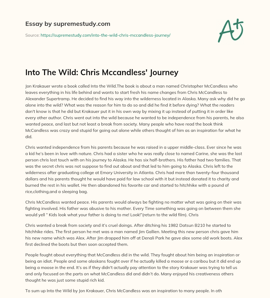 essay into the wild christopher mccandless