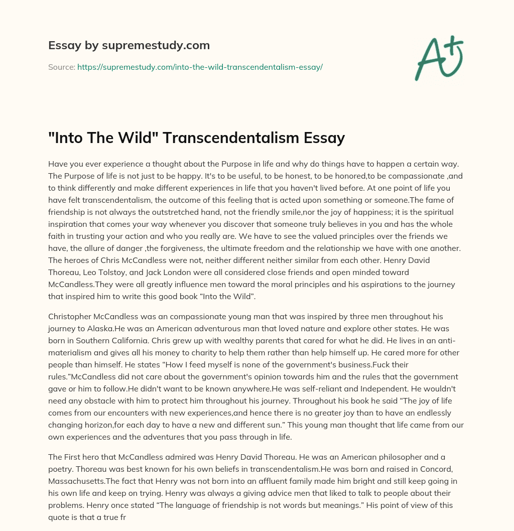 “Into The Wild” Transcendentalism Essay  essay