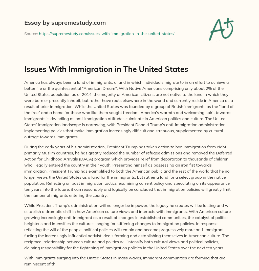 Issues With Immigration in The United States essay