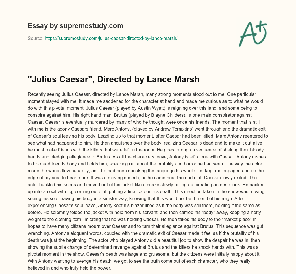 “Julius Caesar”, Directed by Lance Marsh essay