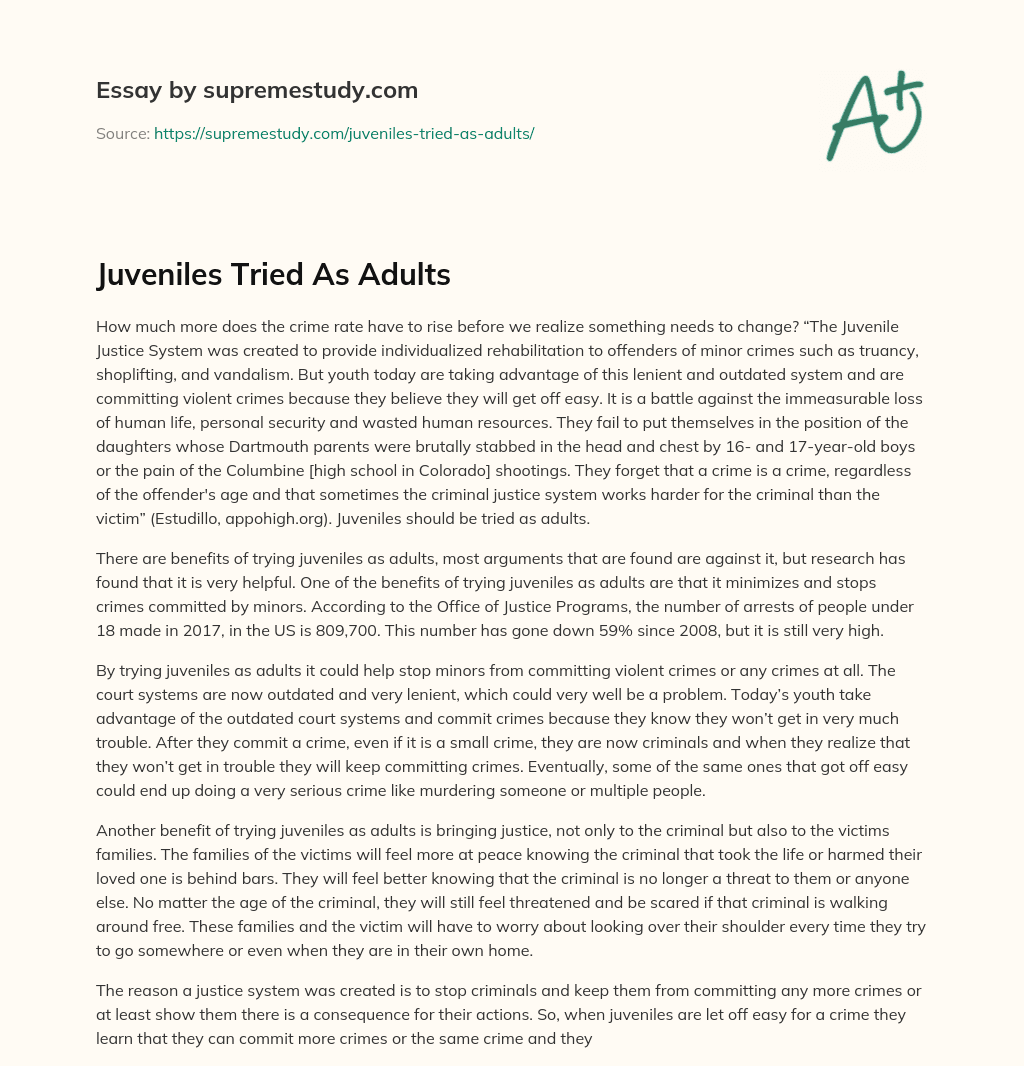 Juveniles Tried As Adults essay