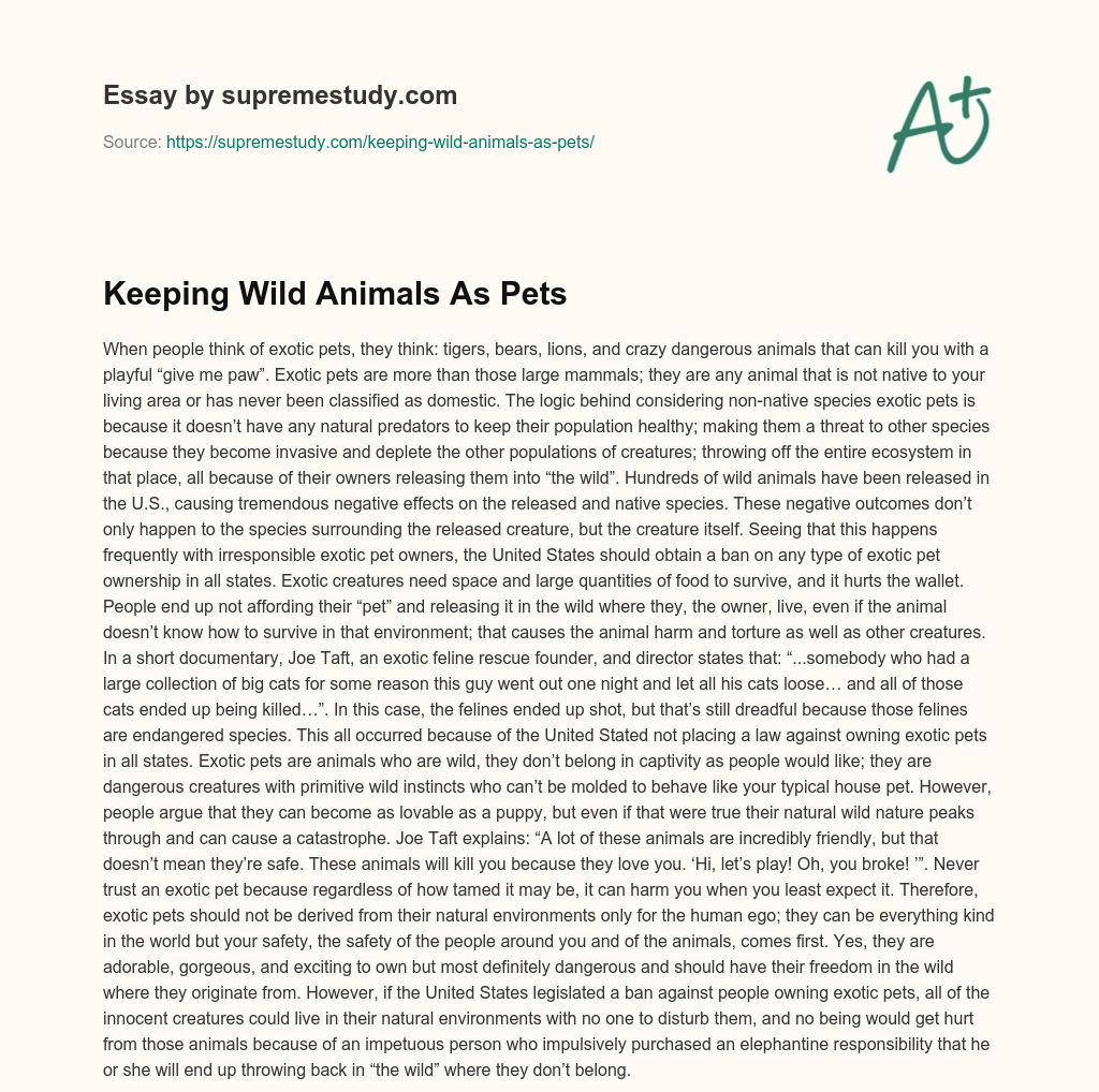 Keeping Wild Animals As Pets - Free Essay Example - 586 Words | SupremeStudy