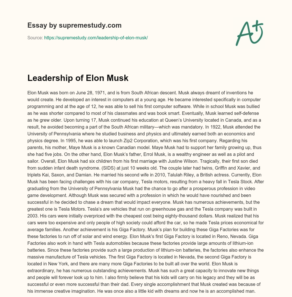 essay about elon musk