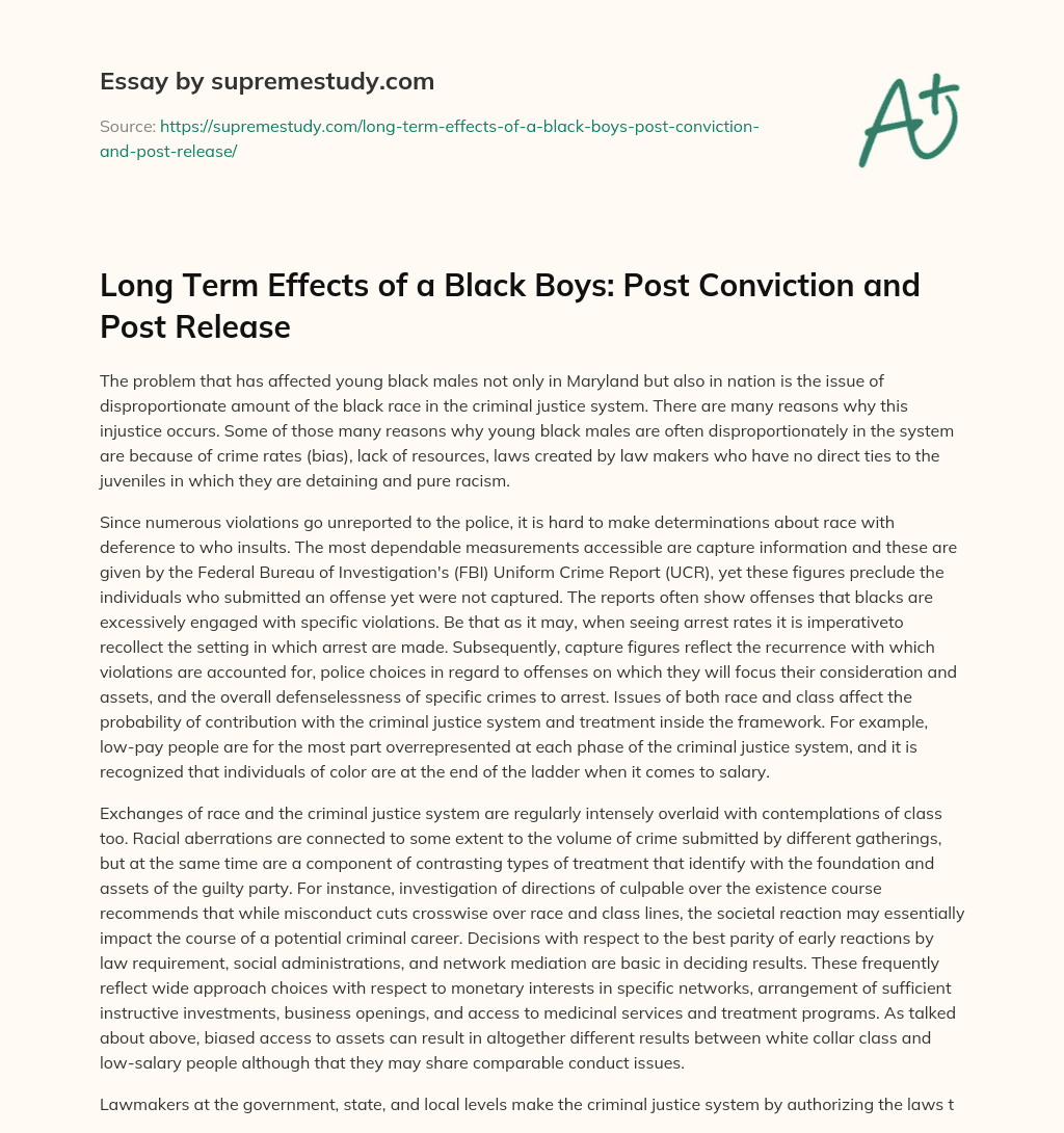 Long Term Effects of a Black Boys: Post Conviction and Post Release essay