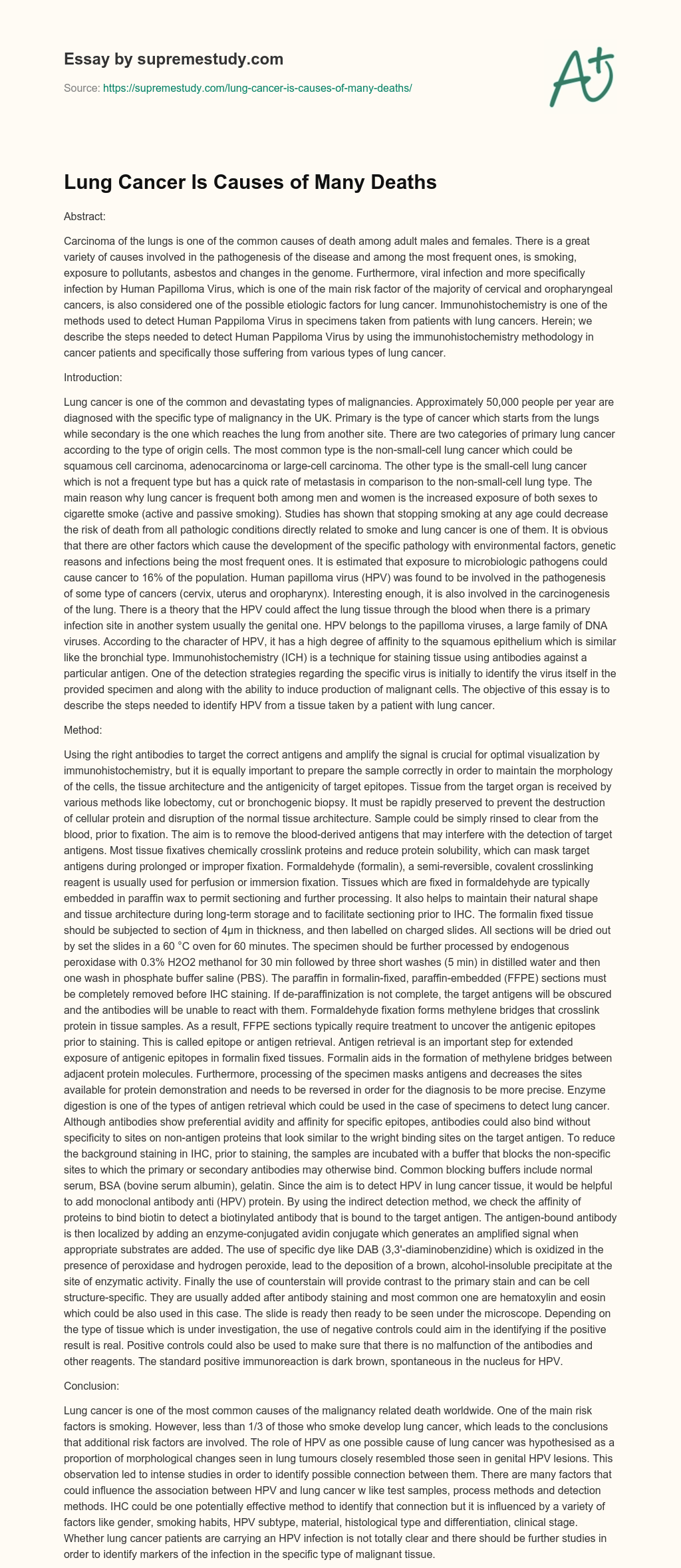 Lung Cancer Is Causes of Many Deaths essay