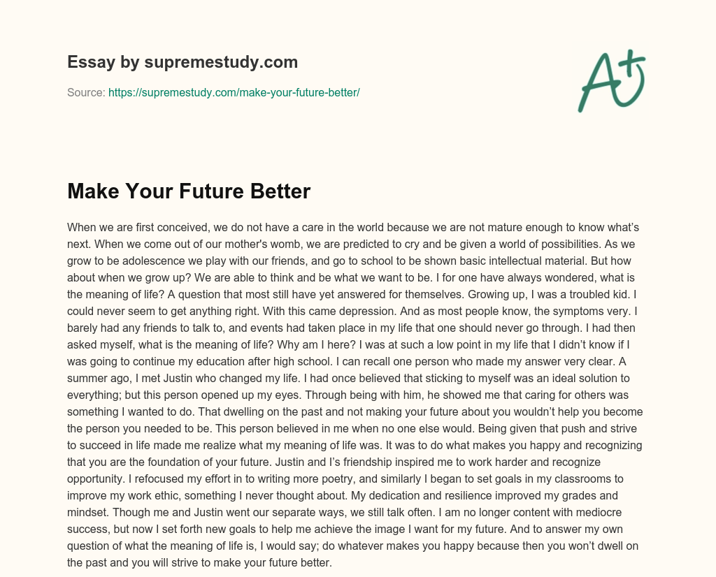 Make Your Future Better essay
