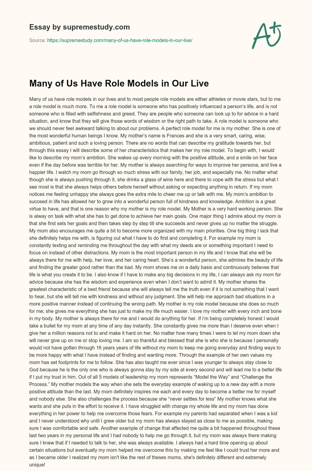 Many of Us Have Role Models in Our Live essay