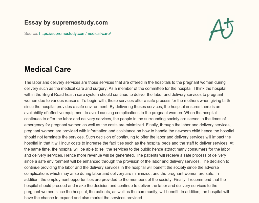 Medical Care essay