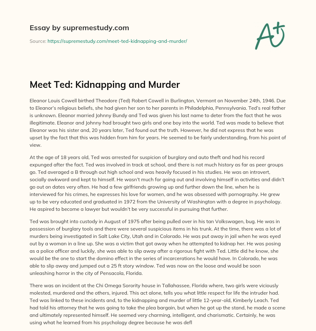 Meet Ted: Kidnapping and Murder essay