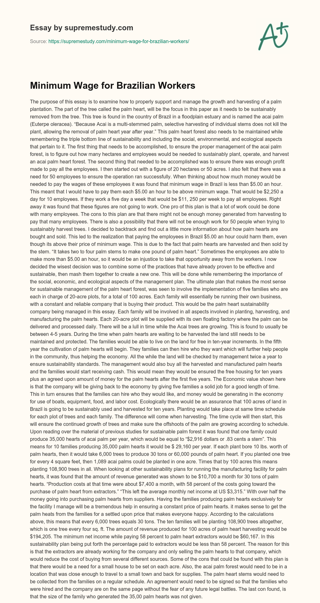 Minimum Wage for Brazilian Workers essay