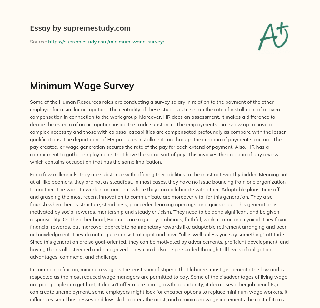 Minimum Wage Survey essay