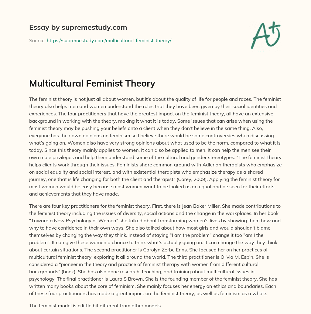 Multicultural Feminist Theory essay