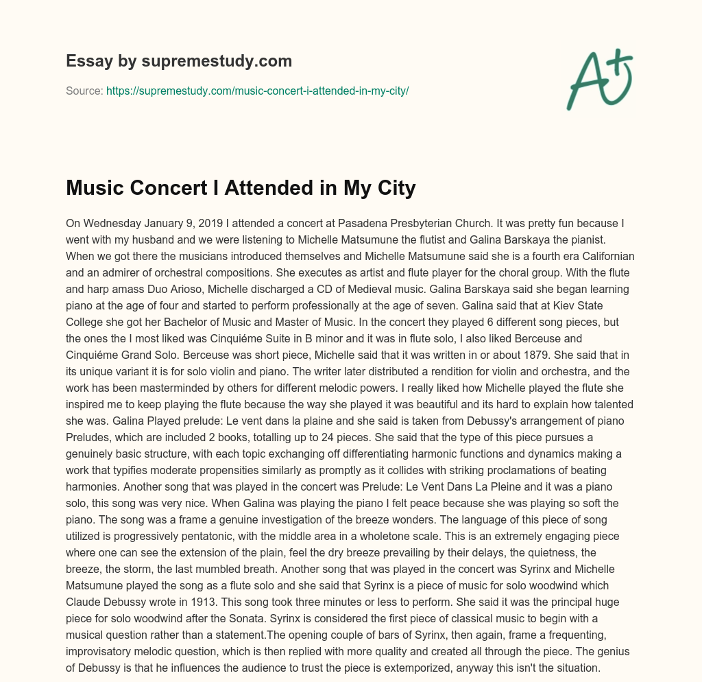 Music Concert I Attended in My City essay