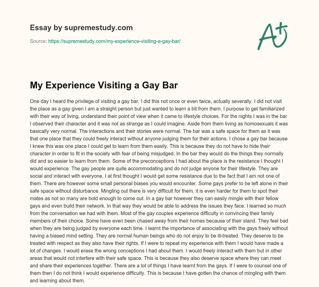 My Experience Visiting a Gay Bar essay