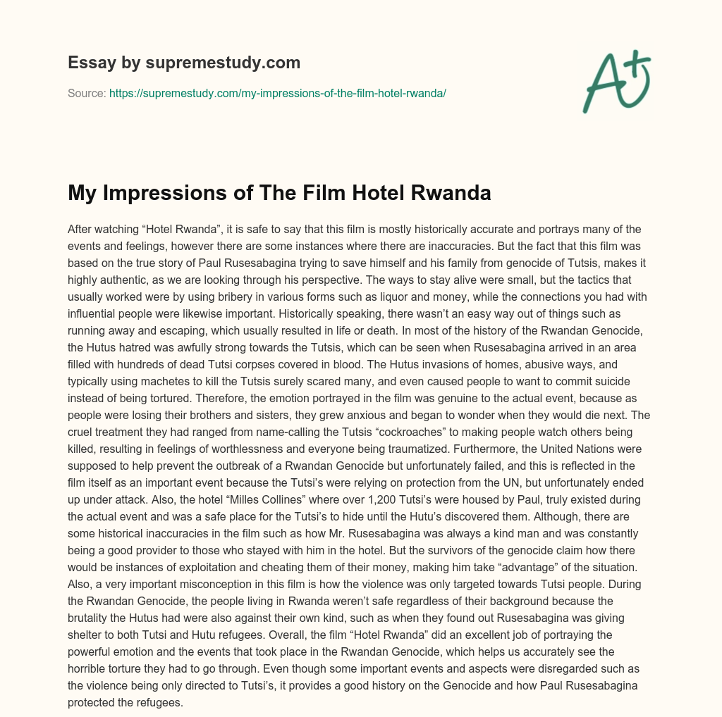 My Impressions of The Film Hotel Rwanda essay