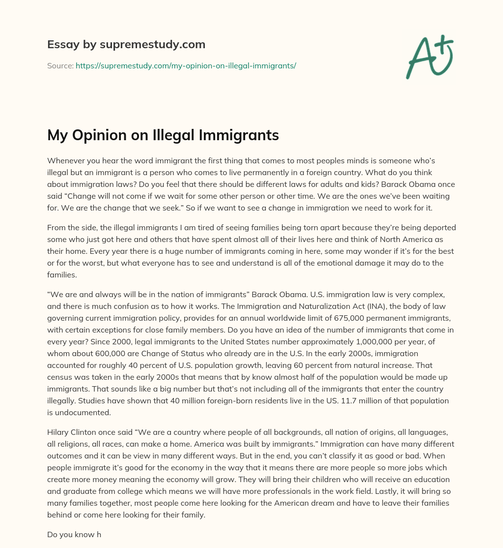 My Opinion on Illegal Immigrants essay