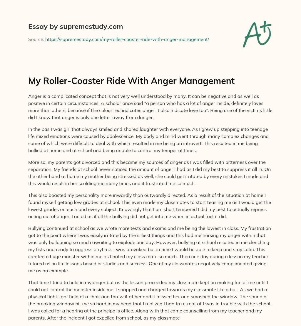 My Roller-Coaster Ride With Anger Management essay
