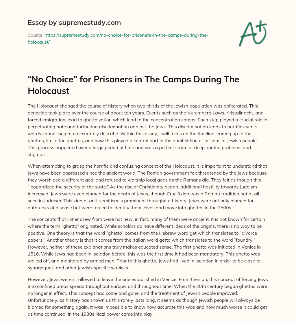 “No Choice” for Prisoners in The Camps During The Holocaust essay