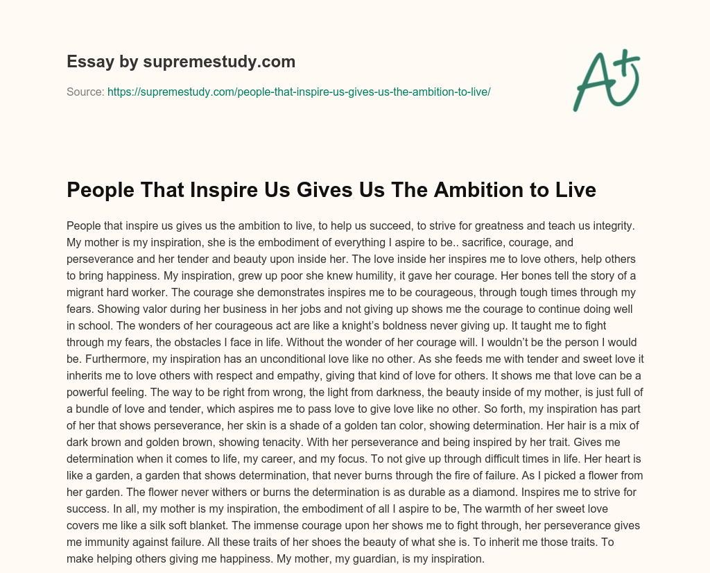 People That Inspire Us Gives Us The Ambition to Live essay