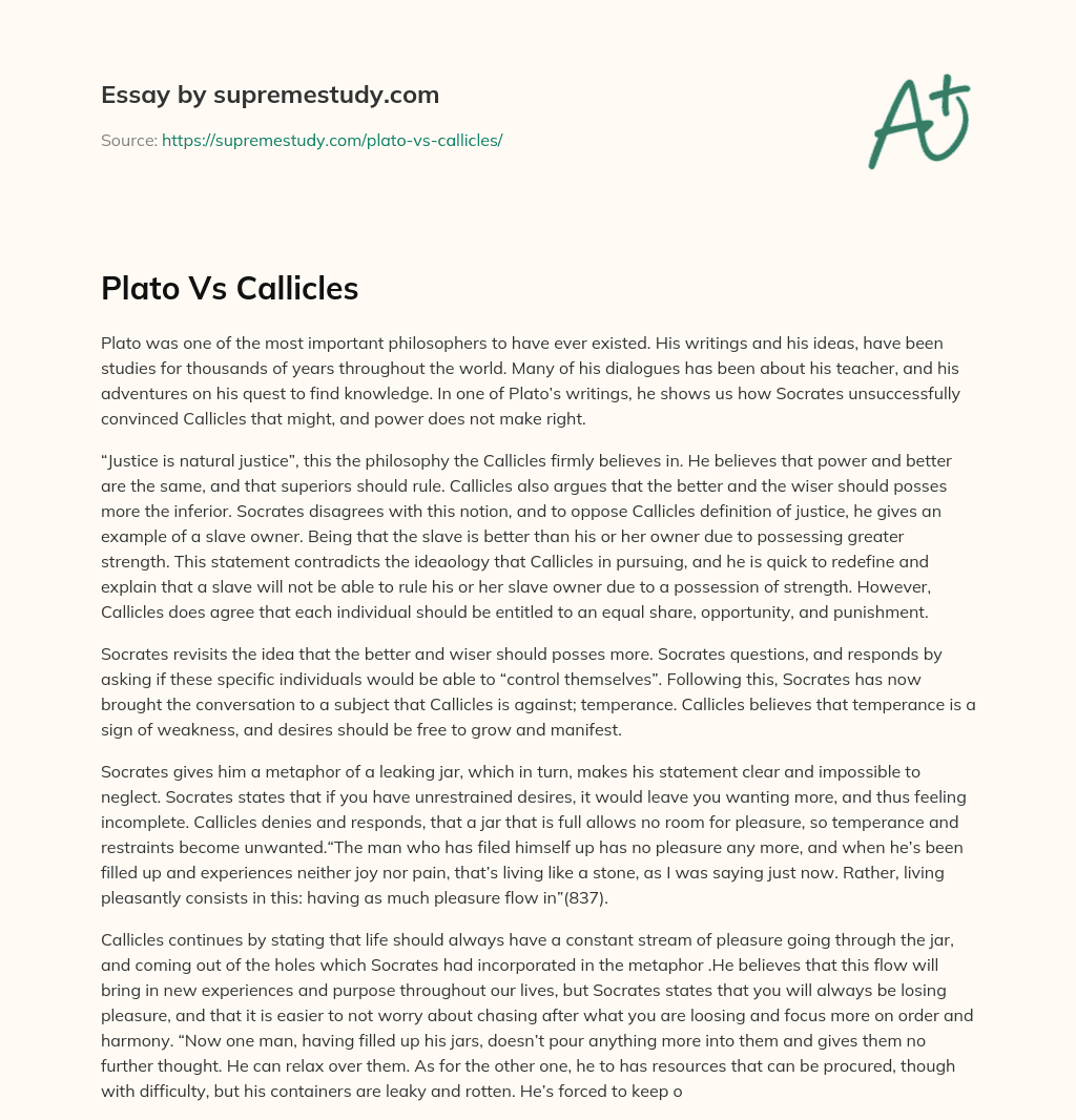 Plato Vs Callicles essay