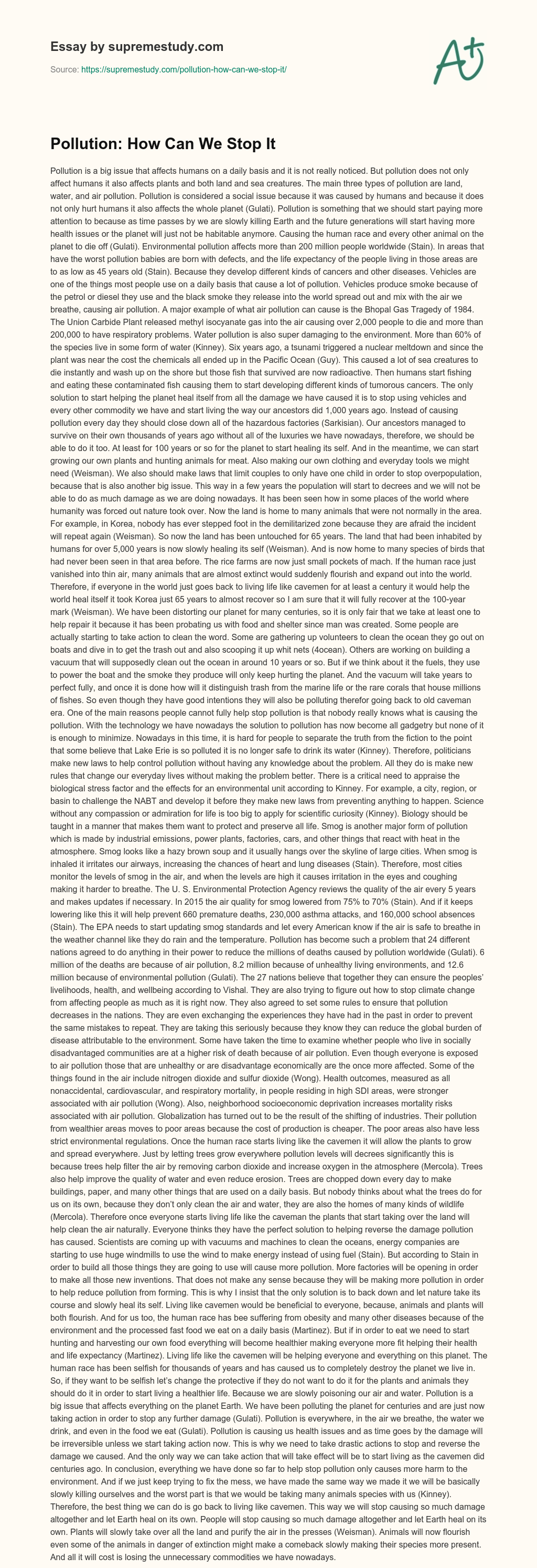 Pollution: How Can We Stop It essay