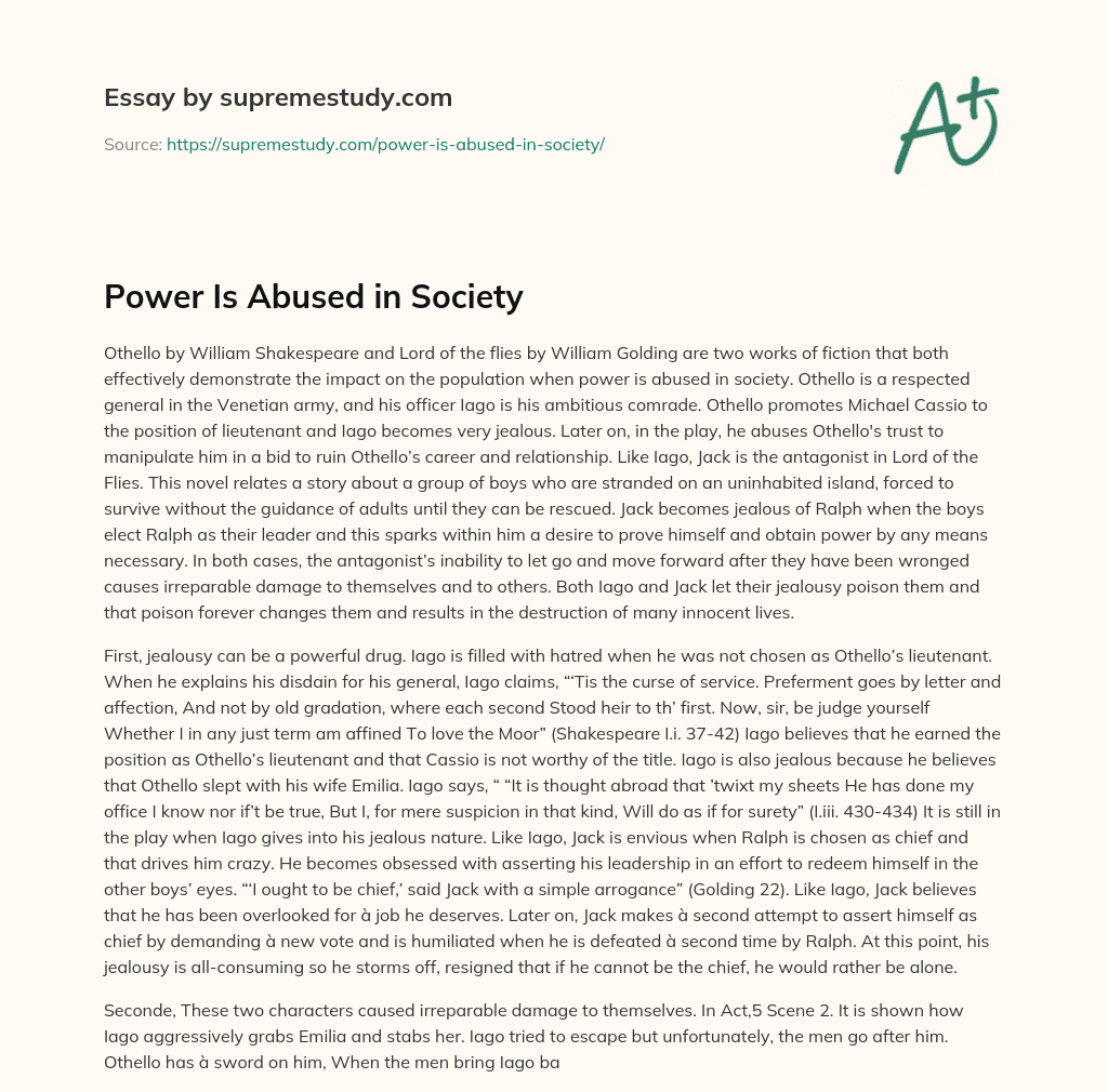 Power Is Abused in Society essay