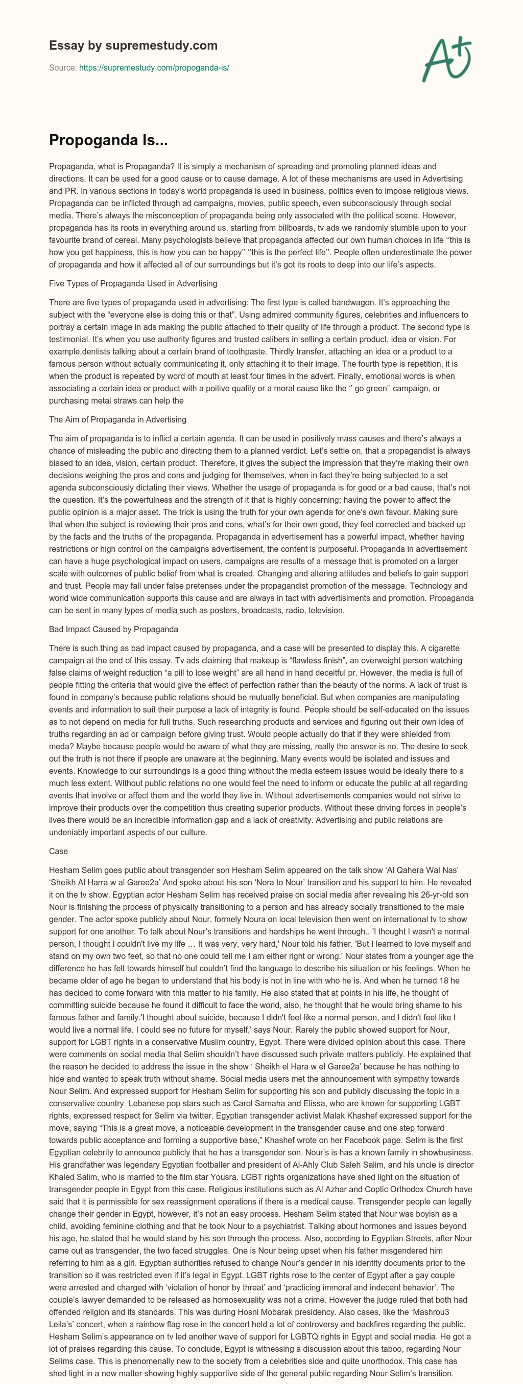 Propoganda Is… essay