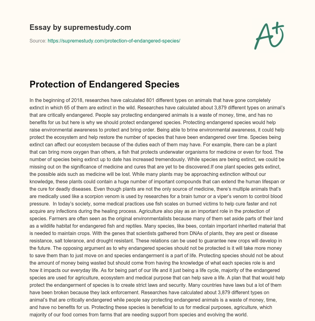 Protection of Endangered Species essay