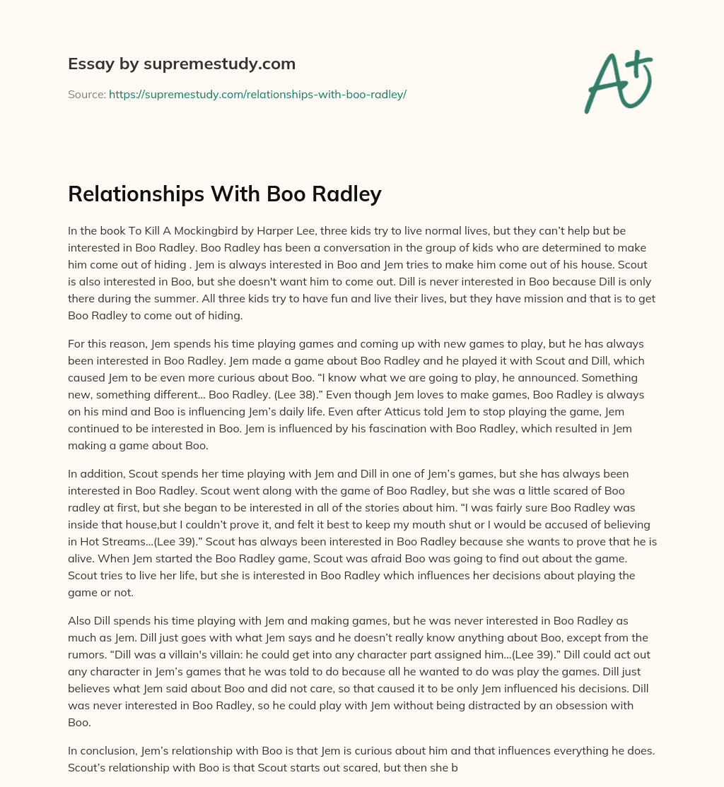 Relationships With Boo Radley  essay