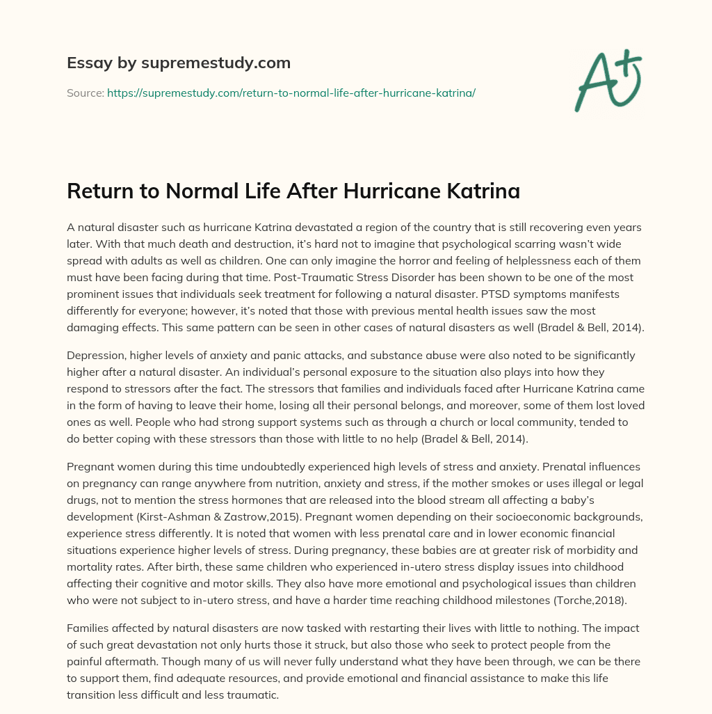 Return to Normal Life After Hurricane Katrina essay