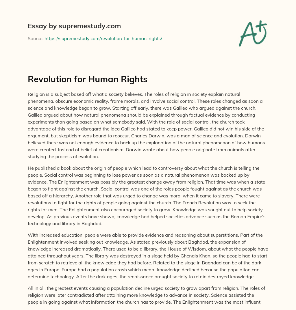 Revolution for Human Rights essay