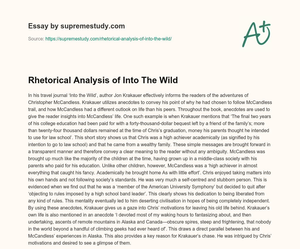 into the wild essay