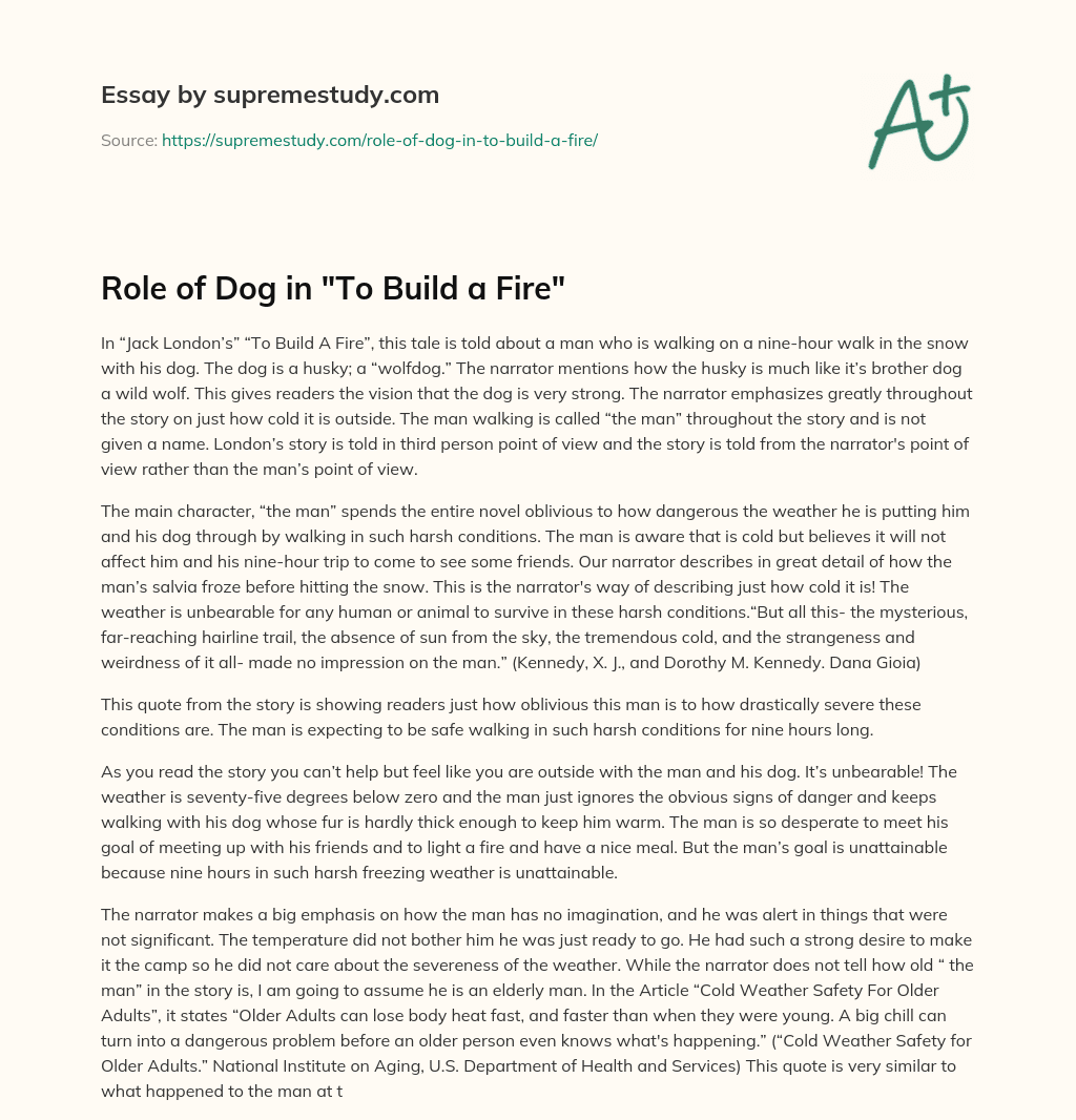 Role of Dog in “To Build a Fire” essay