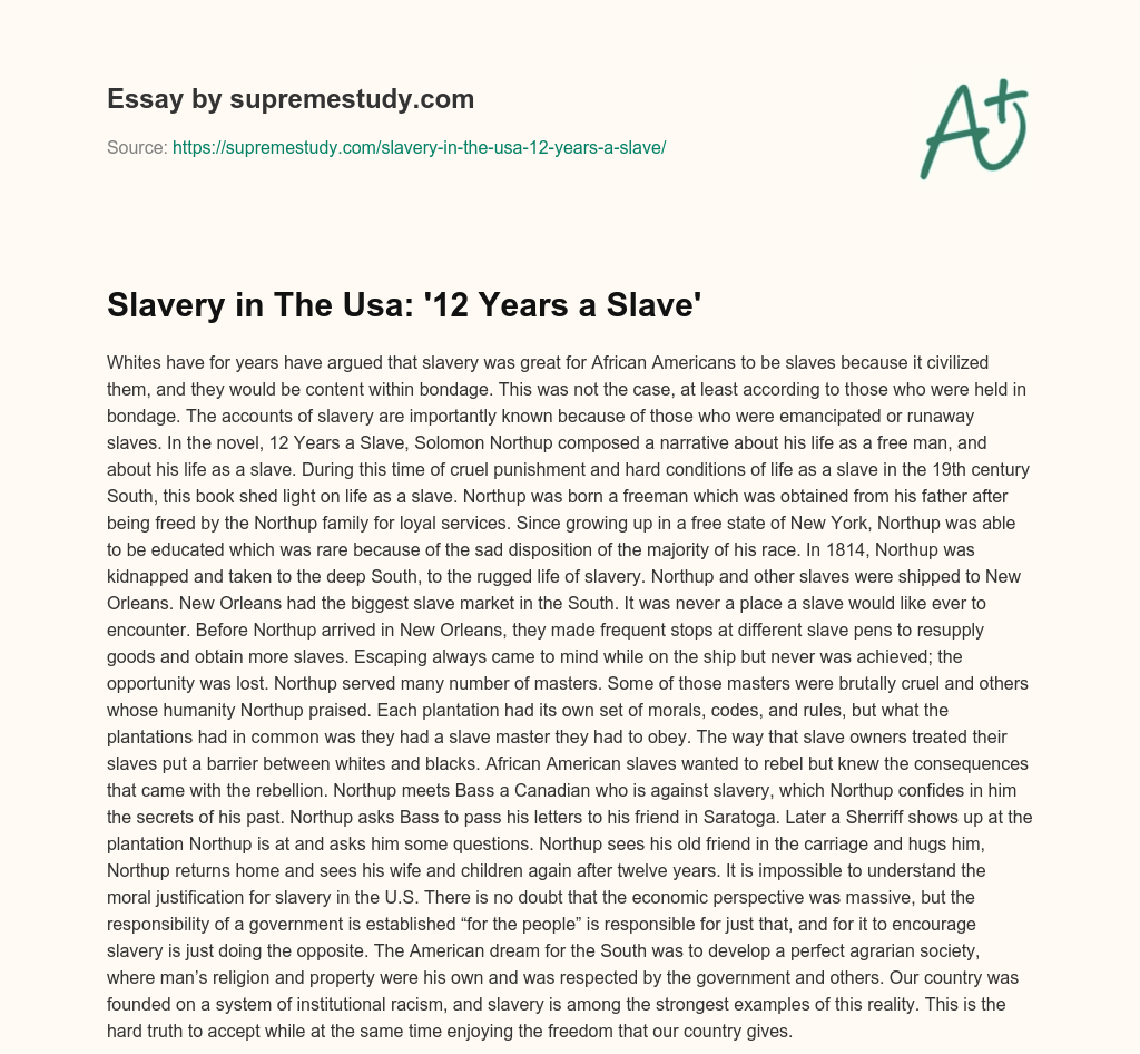 Slavery in The Usa: ’12 Years a Slave’ essay