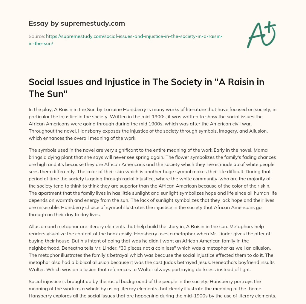Social Issues and Injustice in The Society in “A Raisin in The Sun” essay
