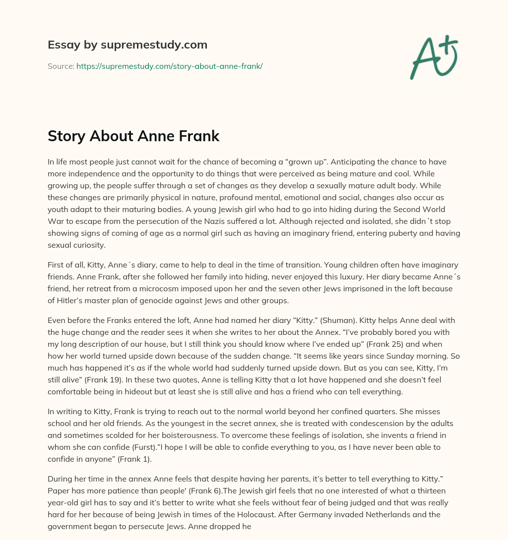 Story About Anne Frank essay