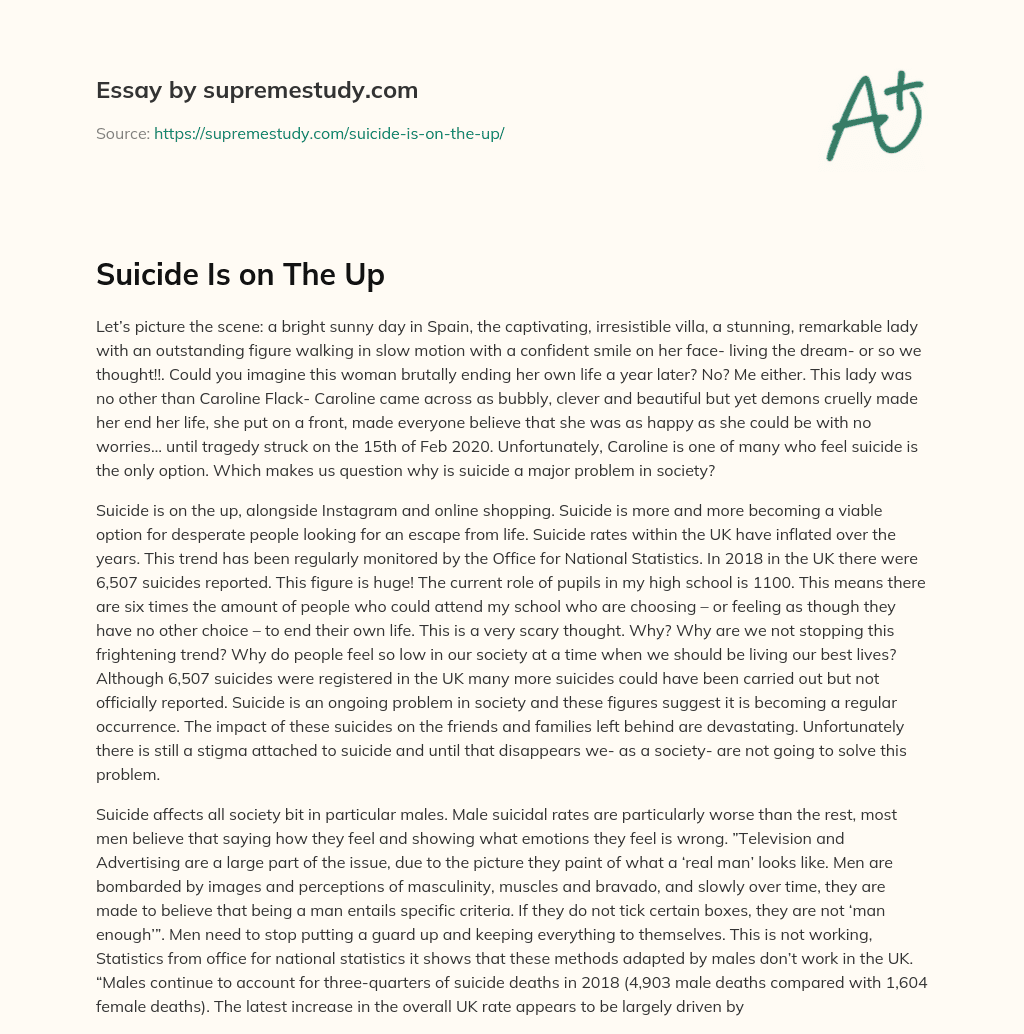 Suicide Is on The Up essay