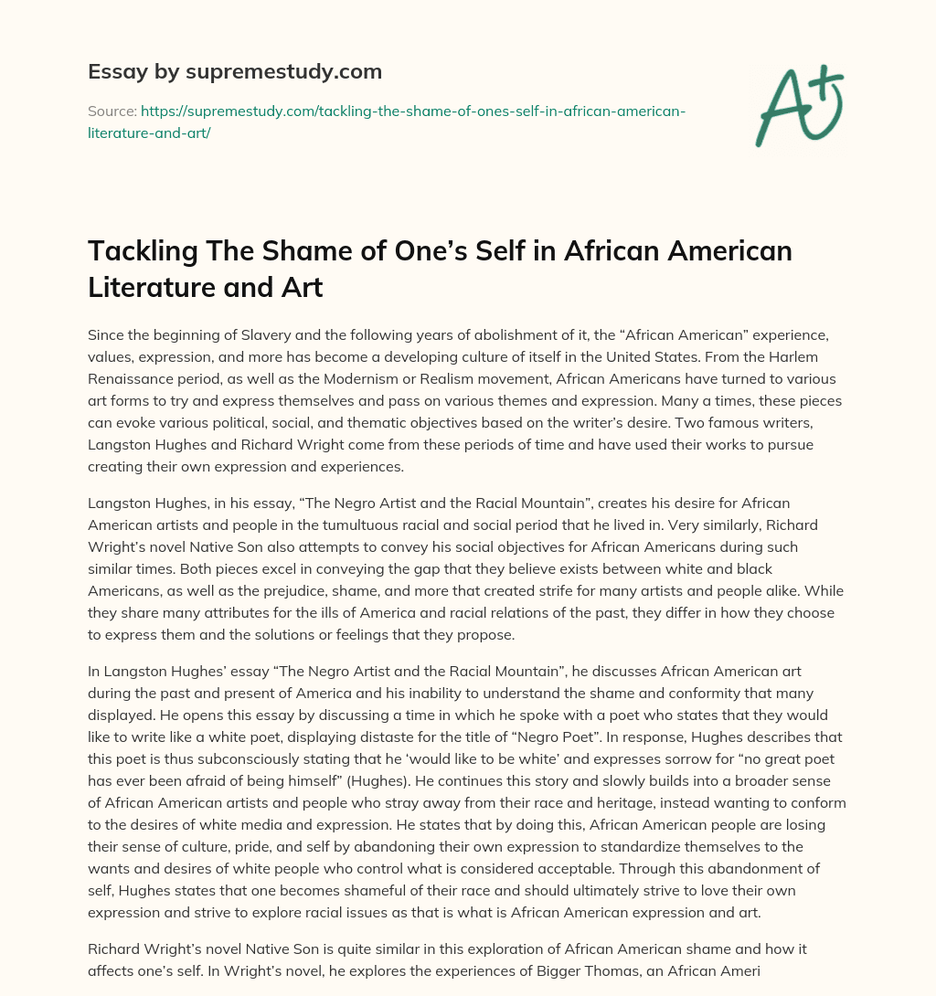 Tackling The Shame of One’s Self in African American Literature and Art  essay