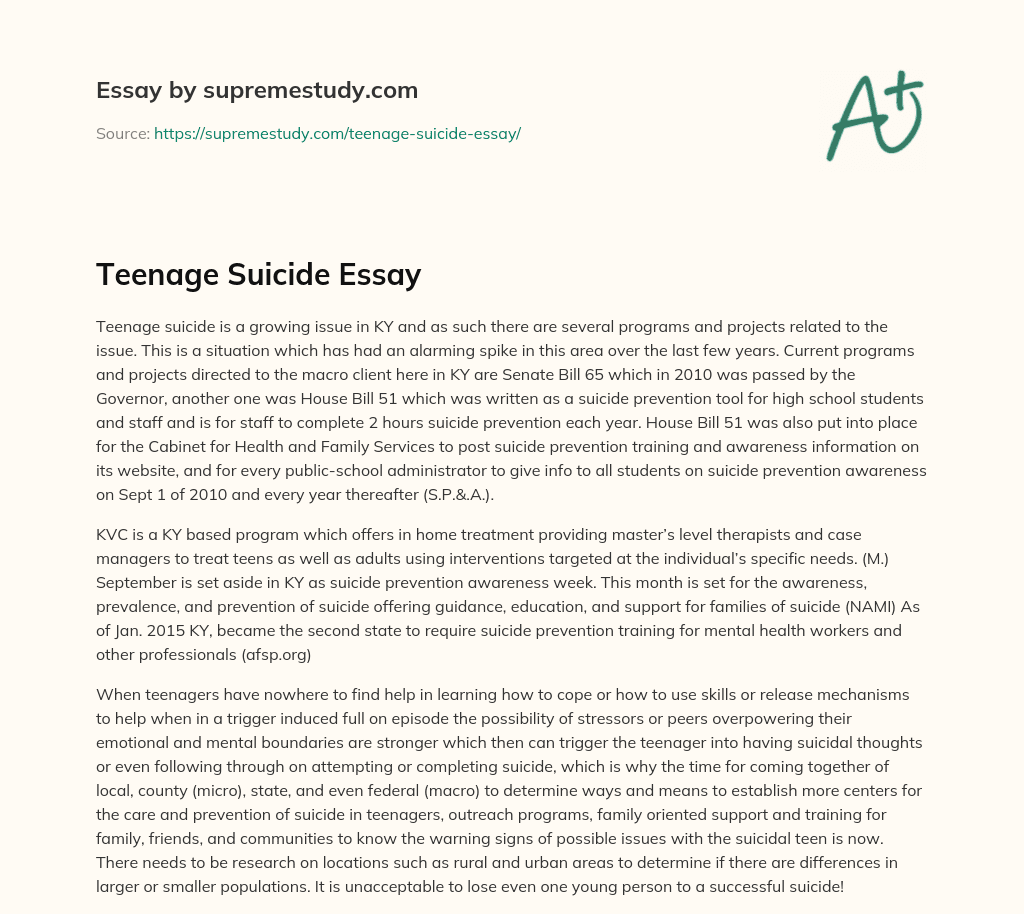 Teenage Suicide Essay essay